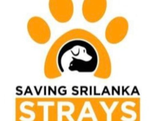 Saving Sri Lanka Strays
